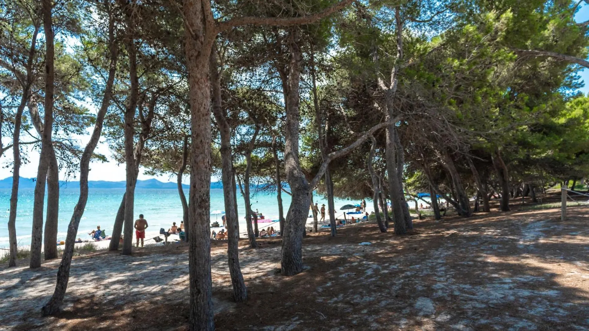 Apartment Lago Y Mar Port de Alcudia  Spain