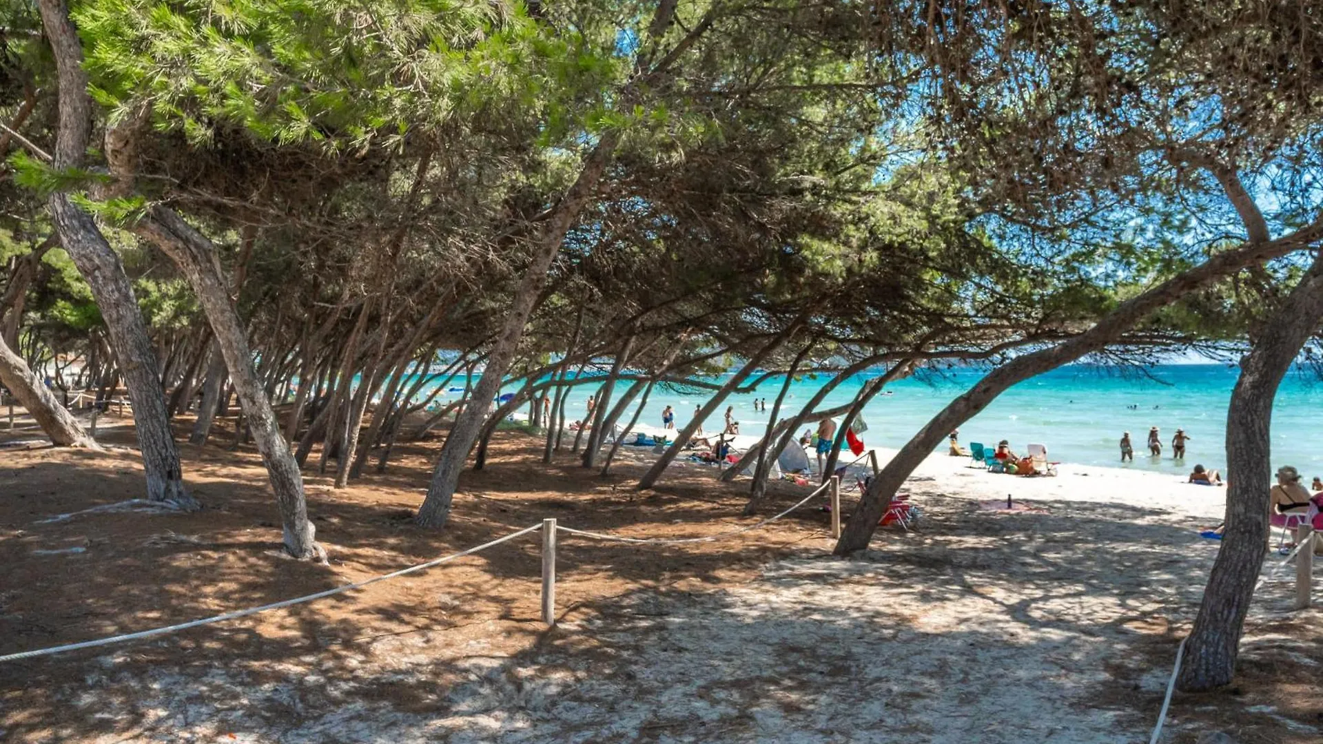Apartment Lago Y Mar Port de Alcudia
